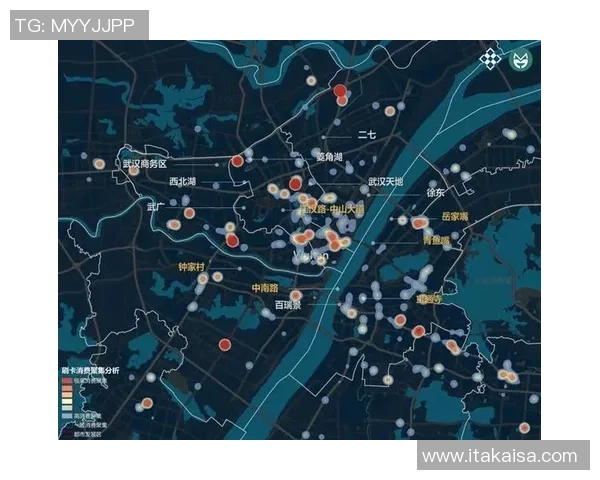 武汉乒乓球队个人能力表现的数据分析与综合评估研究